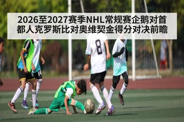 2026至2027赛季NHL常规赛企鹅对首都人克罗斯比对奥维契金得分对决前瞻